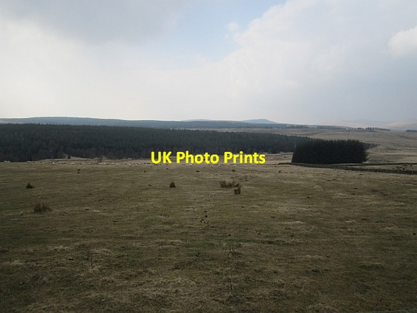 Photo 6"x4" Field, Andershaw Andershaw Fm c2013
