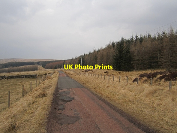 Photo 6"x4" Lanarkshire pink road Andershaw Fm c2013