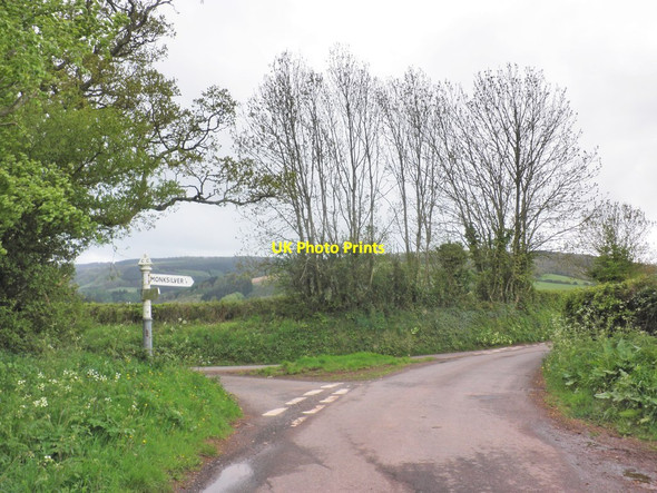 Photo 6"x4" Beech Tree Cross Monksilver c2013