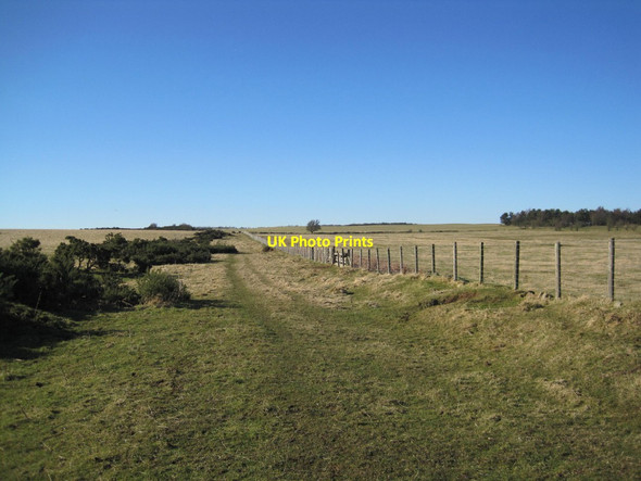 Photo 6"x4" St. Oswald's Way towards Bingfield Great Whittington c2013