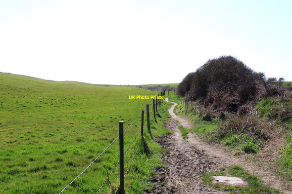 Photo 6"x4" Footpath to the beach Downton\/SZ2693 c2013