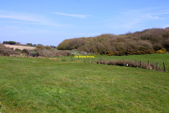 Photo 6"x4" Fields by Sandpit Copse Downton\/SZ2693 c2013