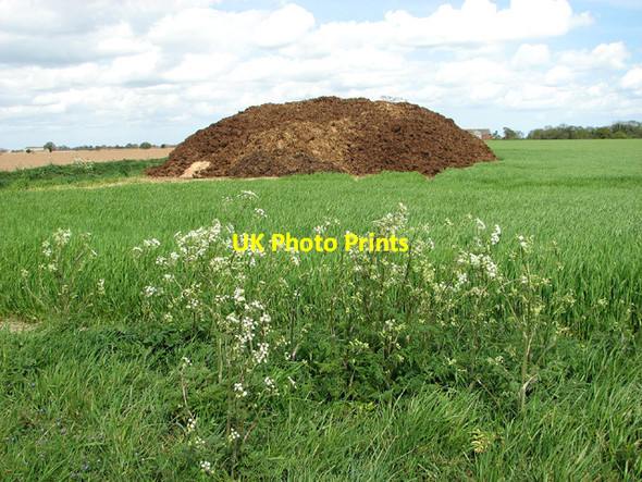 Photo 6"x4" Muck heap in field by Oxpit Farm, Limpenhoe Limpenhoe Hill c2013