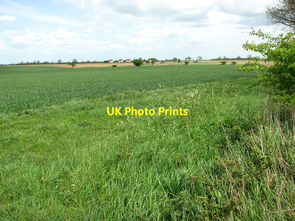 Photo 6"x4" Fields by The Spout, Reedham Limpenhoe Hill c2013