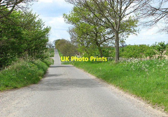 Photo 6"x4" To Freethorpe Road on Hall Road, Reedham Limpenhoe Hill c2013