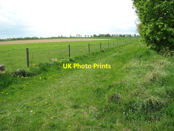 Photo 6"x4" Path along Hall Road, Reedham Reedham\/TG4201 c2013