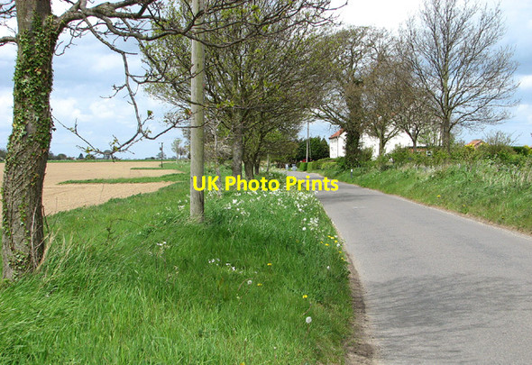 Photo 6"x4" Approaching Hall Cottages on Halvergate Road, Reedham Reedham\/TG4201 c2013