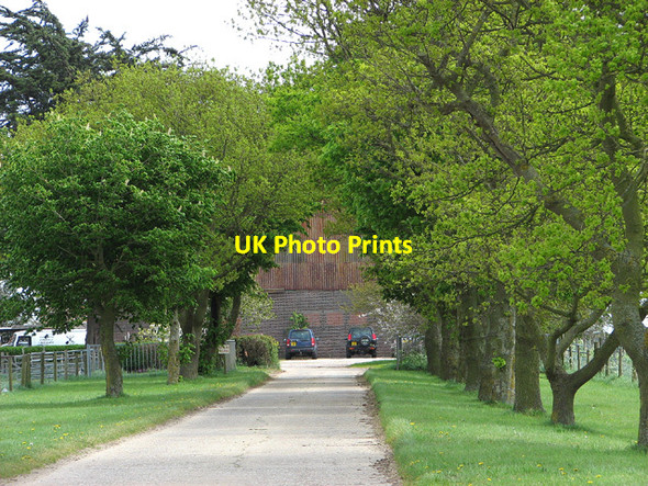 Photo 6"x4" Access road to Hall Farm, Reedham Reedham\/TG4201 c2013
