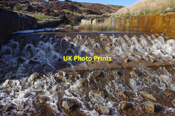 Photo 6"x4" Grizedale Intake, Grizedale Brook Hare Appletree c2013
