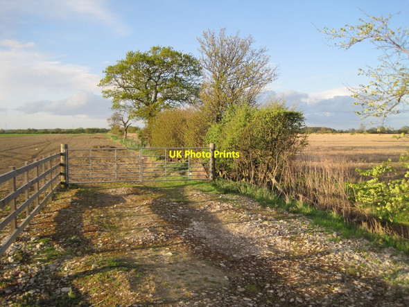 Photo 6"x4" Field entrance off A59 Roman Road Hessay c2013