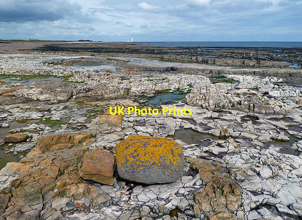 Photo 6"x4" Low tide at Chapel Point Innerwick\/NT7274 c2013