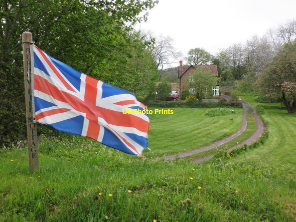 Photo 6"x4" Burrow Hill Cottage Hoccombe c2013