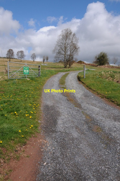 Photo 6"x4" Road to Bryn y Fedwen Farm Trallong c2013