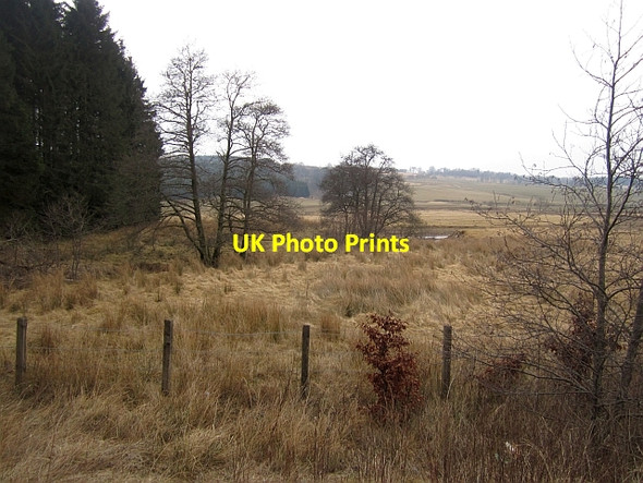 Photo 6"x4" Wetland beside the Douglas Water Douglas\/NS8330 c2013
