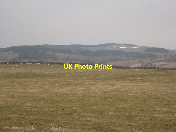 Photo 6"x4" Grassland,  Annieston Symington\/NS9935 c2013