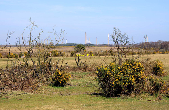 Photo 6"x4" View across the heath towards Fawley Hill Top\/SU4003 c2013