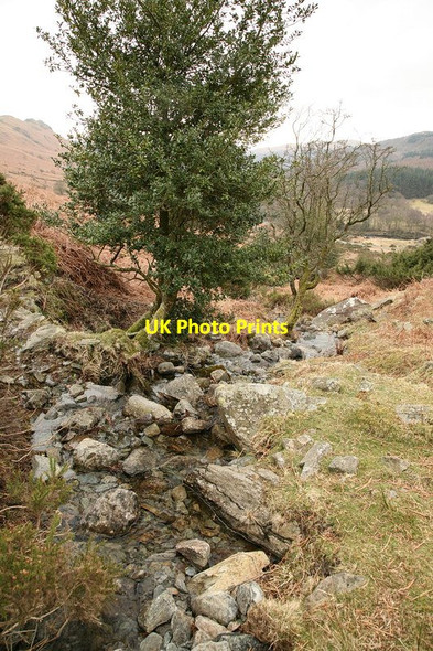 Photo 6"x4" Cinderhill Beck Ulpha\/SD1993 c2010