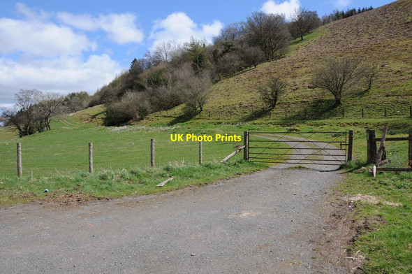 Photo 6"x4" Track and field, Yr Allt Pentre'r-felin\/SN9130 c2013