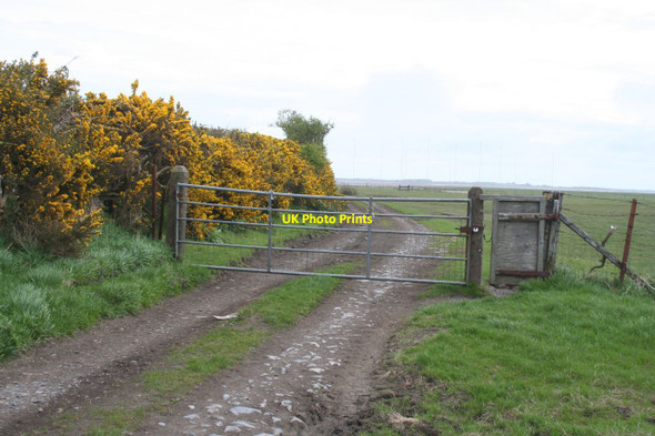 Photo 6"x4" Track to Grune Point Skinburness c2013