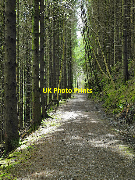 Photo 6"x4" Track above the Ystwyth Cwmystwyth c2013