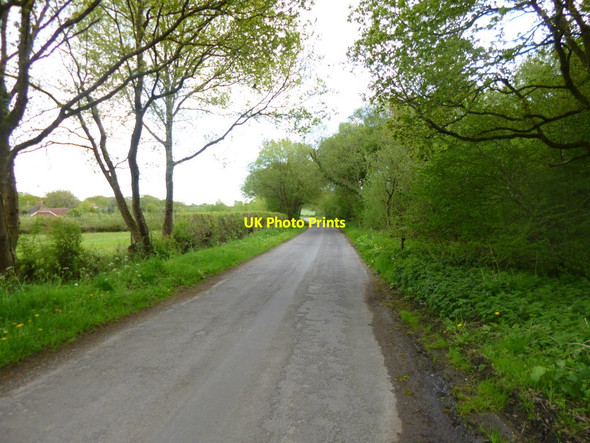 Photo 6"x4" Broad Lawn, country road Higher Row c2013