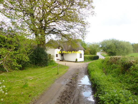 Photo 6"x4" Lower Row, Rowe Cottage Higher Row c2013