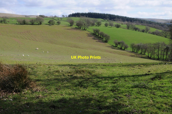 Photo 6"x4" Cwm y Gribin Halfway\/SN8232 c2013