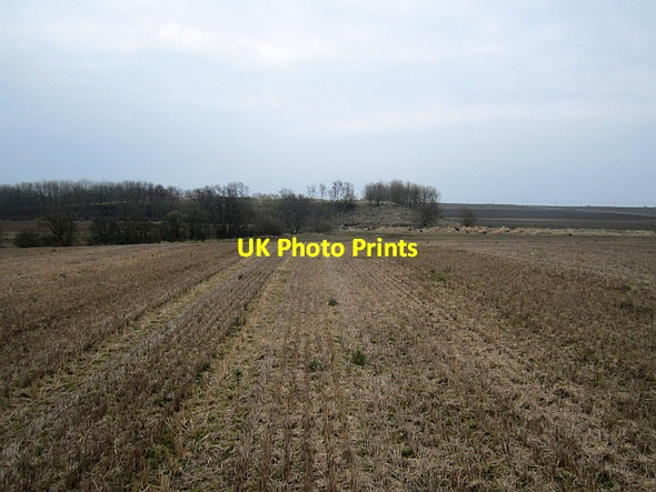 Photo 6"x4" Stubble, Inch Pittenweem c2013
