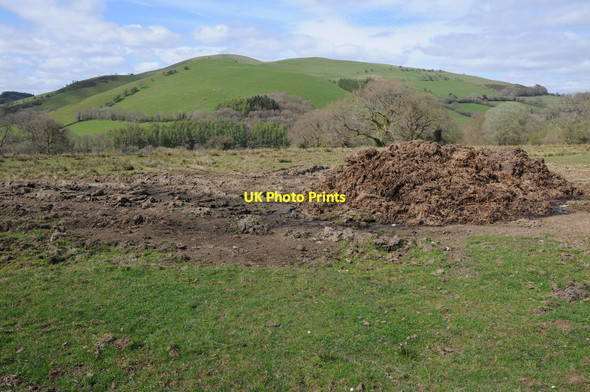 Photo 6"x4" Farmland above Pentre-ty-Gwyn Pentre-ty-gwyn c2013
