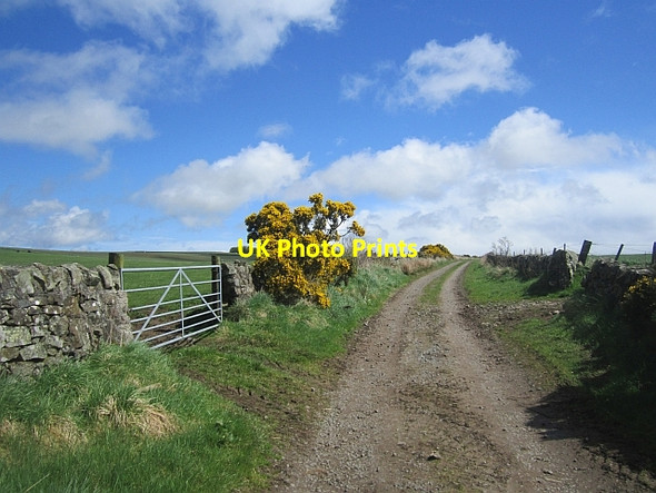 Photo 6"x4" Farm road, Kilbrackmont Largoward c2013