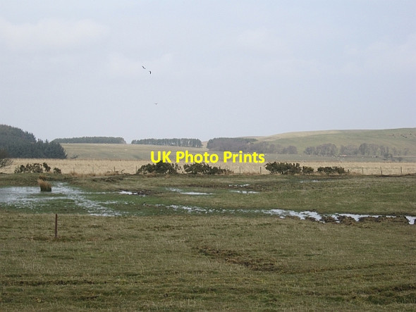 Photo 6"x4" Wetland, New Gilston Backmuir of New Gilston c2013