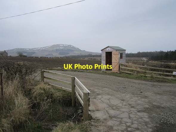 Photo 6"x4" Egg box Woodside\/NO4207 c2013