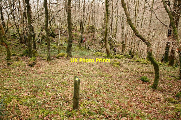 Photo 6"x4" Footpath, Crook Wood Hall Dunnerdale c2010