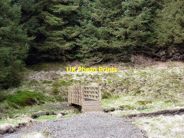 Photo 6"x4" Footbridge across Afon Llechwedd-mawr Afon Llechwedd-mawr c2013 P1