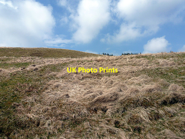 Photo 6"x4" Grassland beside the track from Llyn Penrhaeadr to Anglers' Retreat Pen Creigiau'r Llan c2013