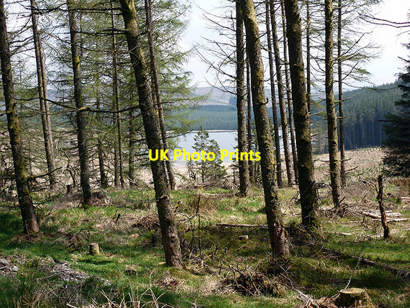 Photo 6"x4" New Pool glimpsed through the forestry New Pool\/SN7492 c2013