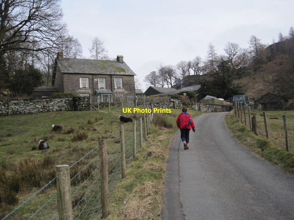 Photo 6"x4" Holme Ground Little Langdale c2013