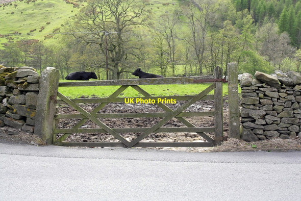 Photo 6"x4" Gateway on Moser Hill Brow opposite track to Moser Hill Sedbergh c2013
