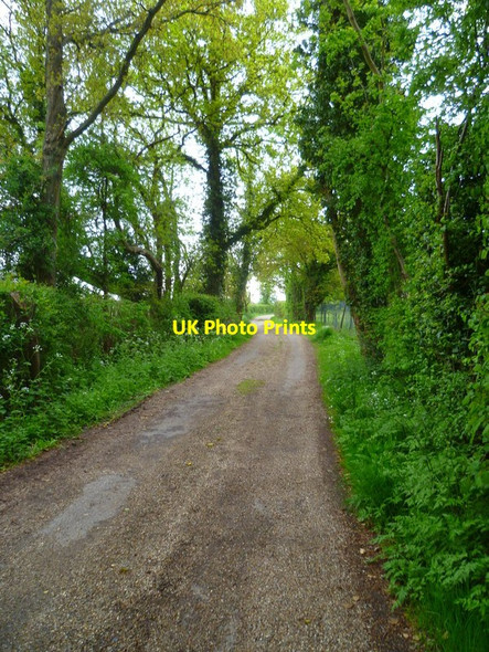 Photo 6"x4" Bridleway on Richman's Hill Hollybush Hill\/SU9884 c2013