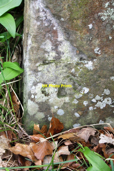 Photo 6"x4" Benchmark on gatepost at Mill Wood Gawthrop c2013