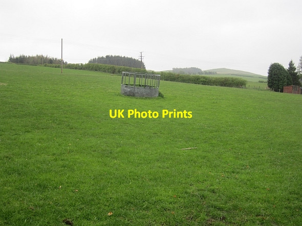 Photo 6"x4" Field by Gatehousecote Bonchester Bridge c2013