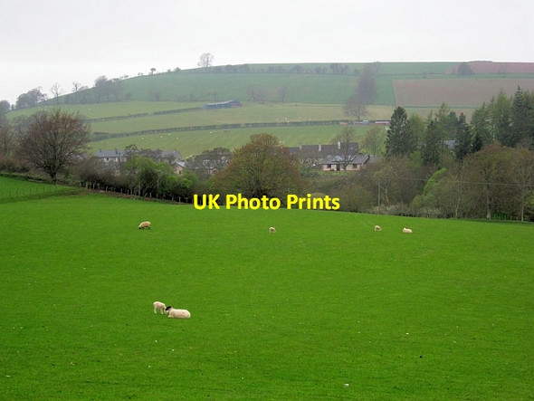 Photo 6"x4" Field by Bonchester Bridge Bonchester Bridge c2013