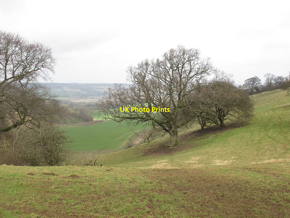 Photo 6"x4" Into the combe Hassell Street c2013