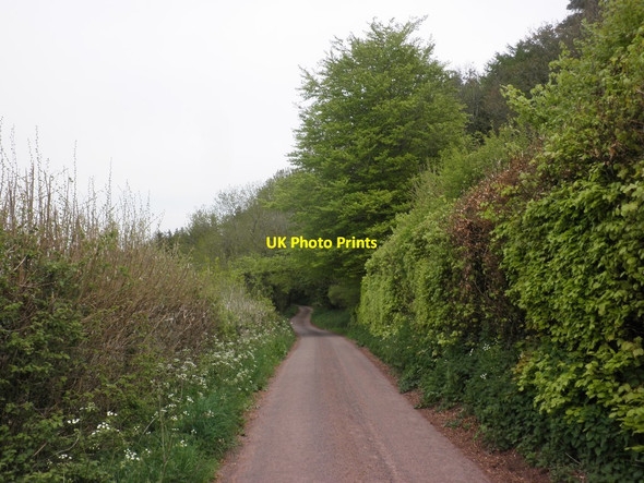 Photo 6"x4" Woodadvent Lane Chidgley c2013