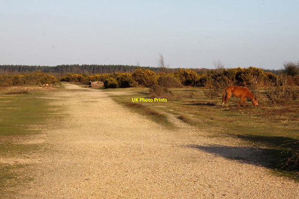 Photo 6"x4" Track along Park Pale Clayhill\/SU3007 c2013