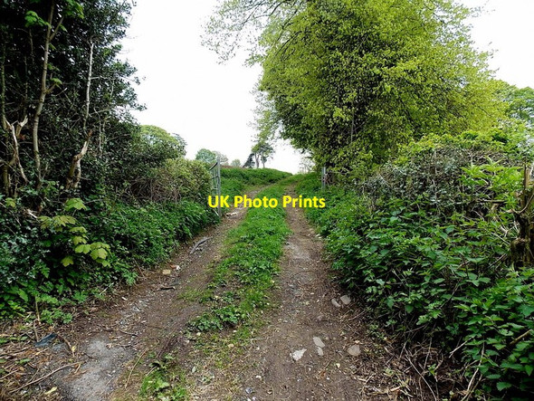 Photo 6"x4" Track between fields near Abergavenny Abergavenny\/Y Fenni c2013