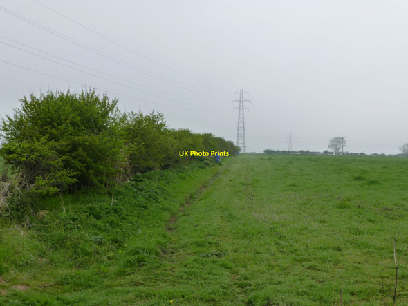Photo 6"x4" Pasture near Denwick Denwick\/NU2014 c2013