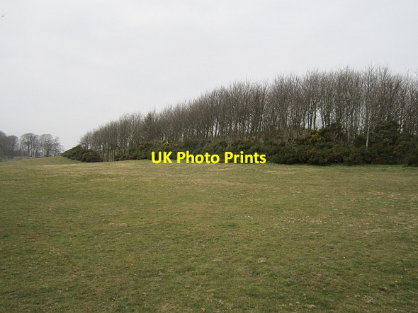 Photo 6"x4" Field, Kirkforthar Star\/NO3103 c2013