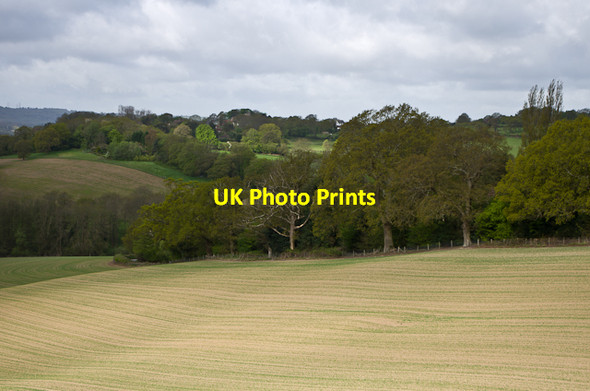 Photo 6"x4" Towards Brede Brede c2013