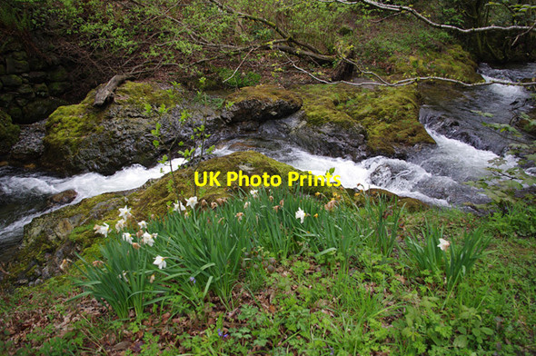 Photo 6"x4" Coledale Beck Braithwaite\/NY2323 c2013